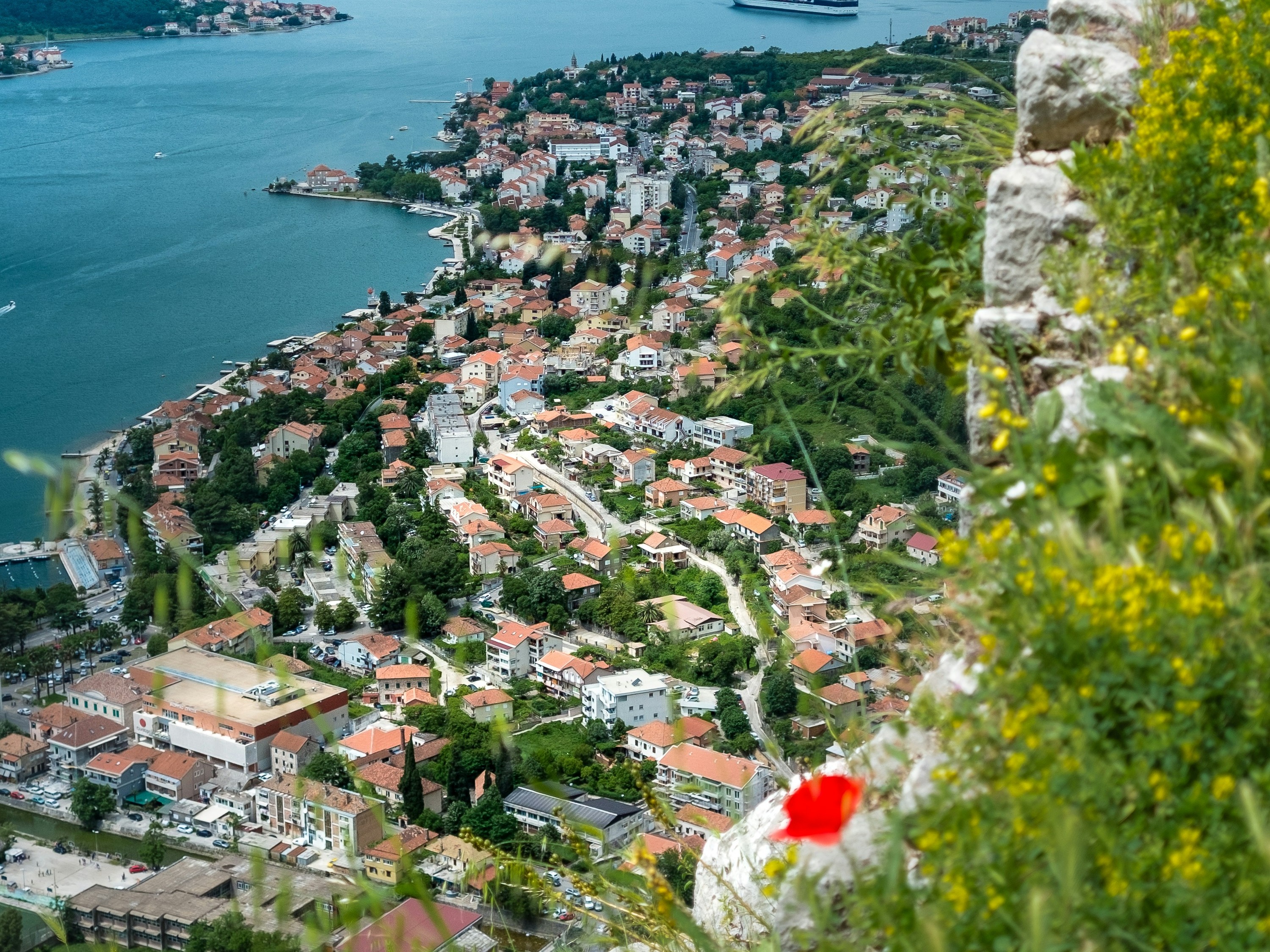 Kotor